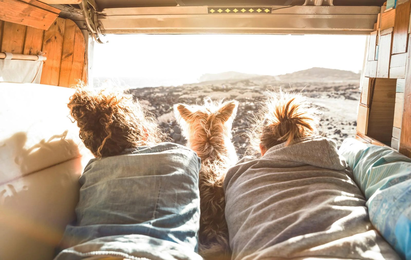 Couple and their dog looking out the back of a camper van